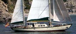 98 Philip Rhodes sailing yacht LUIS GINILLO